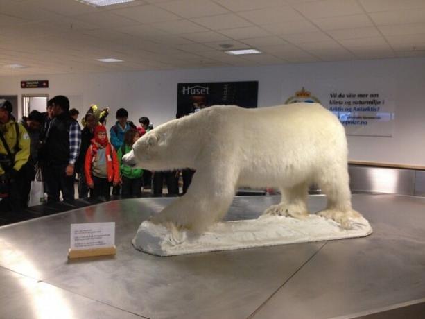 Летището отговаря на всички пътуващи символ на града - полярната мечка.