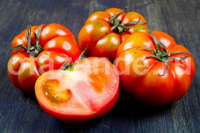 За бързо се изчерви домати