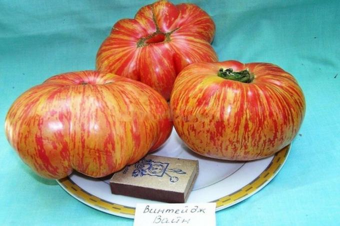 Три разновидности на доматите със сигурност ще ви изненадат със своята уникалност и производителността (3 част)