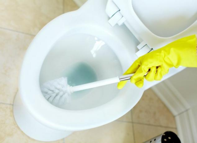 Как да почистите тоалетната си с отвертка?