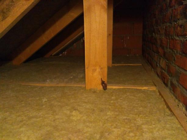 Как да се направи изолация на тавана от вътрешността на къщата? Трудно е, но е възможно! Моят опит.