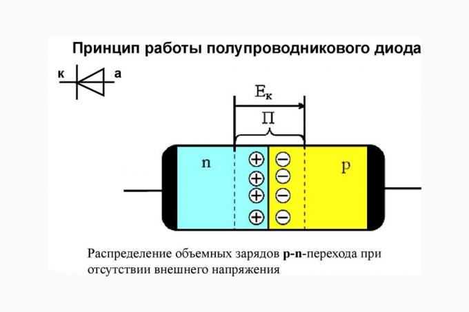 6 основни вида диоди и как те работят