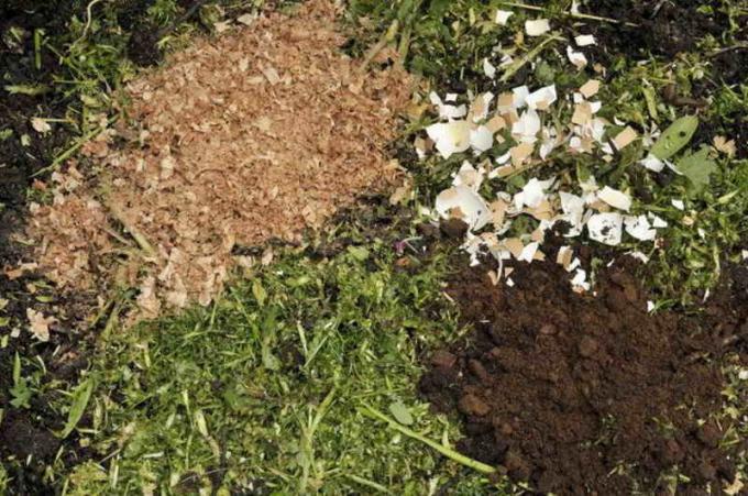 Яйчените черупки по-добре внесени в почвата, чрез изкопаване през есента, заедно с други торове