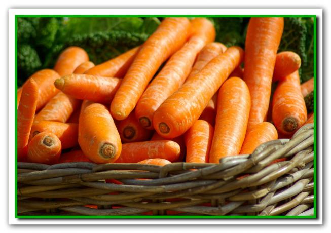 Вашите Морковите ще се увеличат 4-5 дни