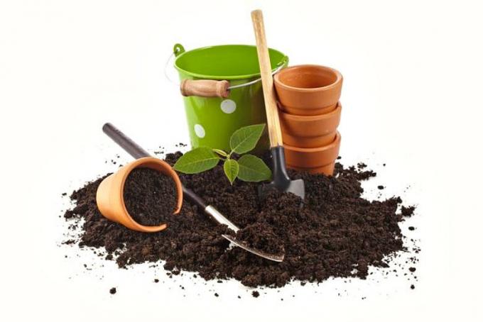 Знаете ли какво е тайната на силни и здрави разсад? Практически съвети за подготовката на почвата.
