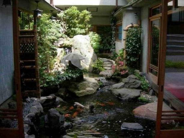 Водна градина в двора: Съвети градинари