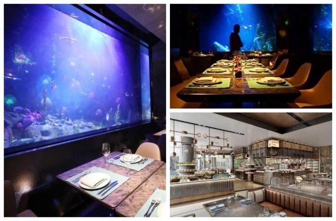 Подводен ресторант г-н Фишер Хотел Songjiang InterContinental.