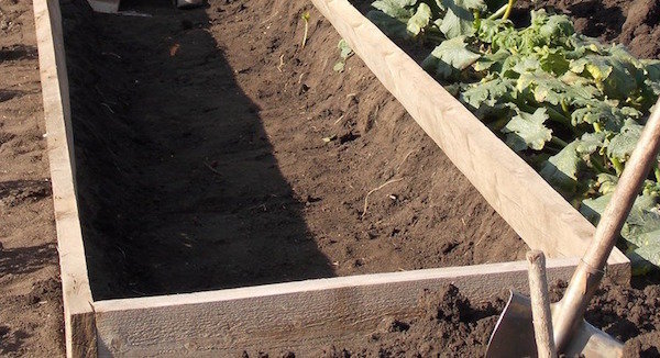 4, от метода на приложение полезни игли в градината
