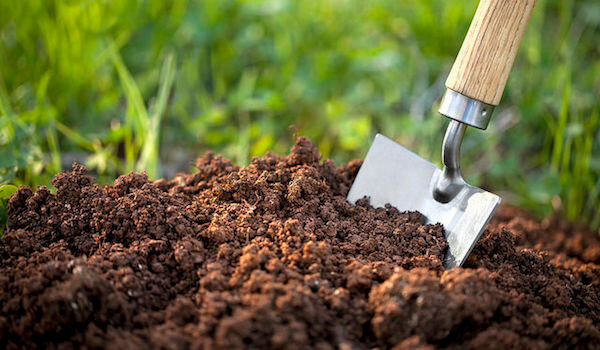 Независимо се определи вида на почвата в градината