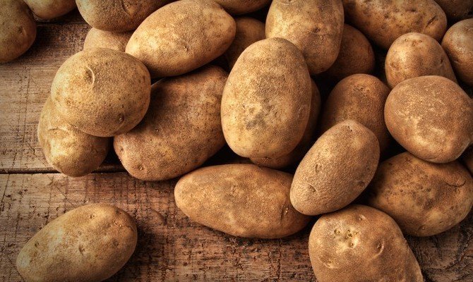 Как и кога трябва да се копае на картофите, така че тя се съхранява през цялата зима