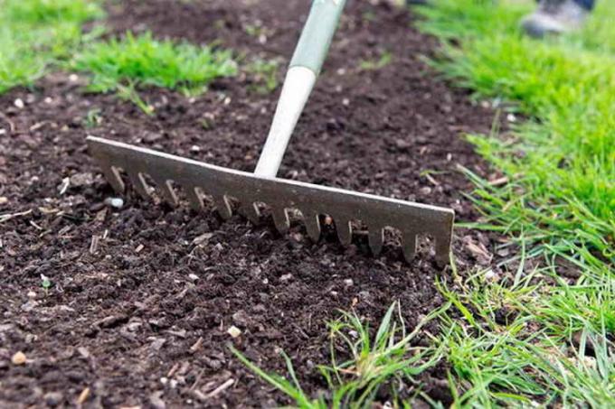 За да се задълбочи използването на семена от градински инструменти под формата на рейк. В този случай, мулч може да се превърне в торф. Shelter изолира засаждане, защита срещу просмукване пролетта.