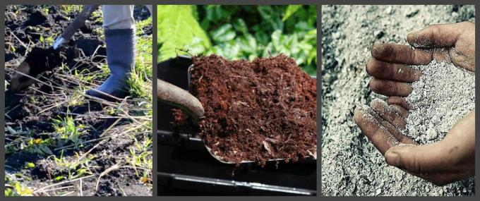 Как за наторяване на почвата през есента