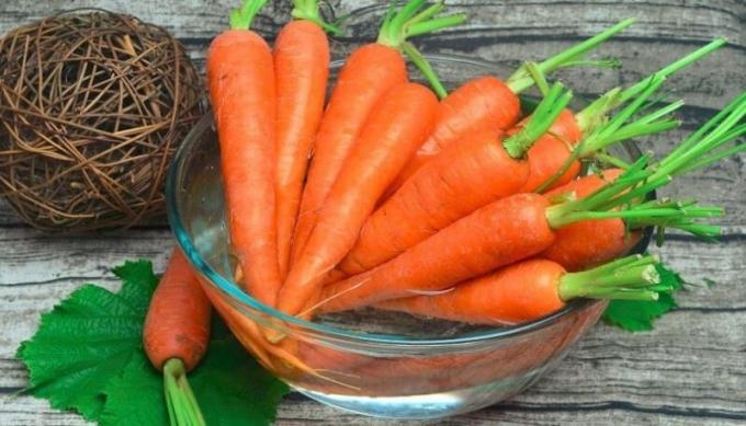Подготовка моркови за съхранение. Илюстрация за статия използва отворен код