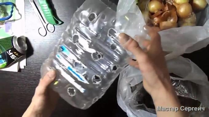 Как да расте лук върху перваза на прозореца в пластмасова бутилка