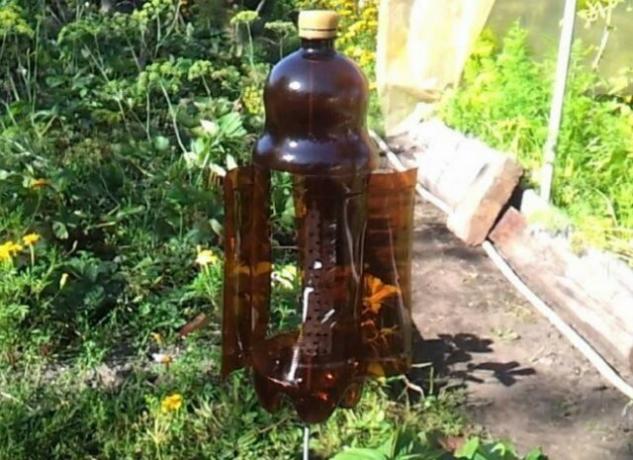 Полезно използване на пластмасови бутилки в градината (част 2)